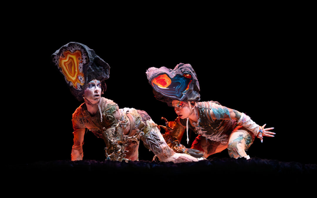 Ultimo helecho | TAP